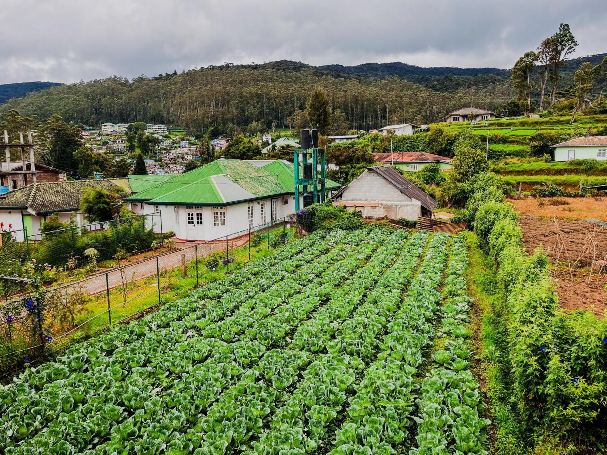 Appartamento Selis Manor Nuwara Eliya Esterno foto